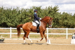 SBM_006228