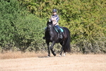 WJ6_7331