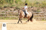 SBM_010641