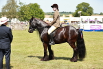 SBM_07112
