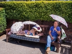 Sunbathing in Park London 2017