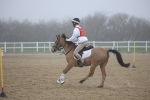 SBM_000959