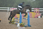 Cls 25 British Novice & Open portfolio