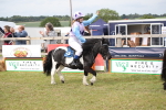 SBM_10183