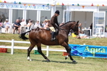 3E7A8433