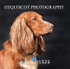 equiscot1525