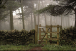 Gate to Blacka Moor