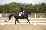 SBM_003460