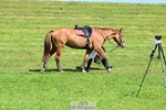 260419-120632-11489