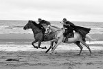 equiscot_8753