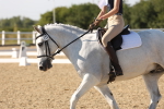 SBM_006908