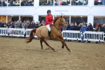 SBM_003769