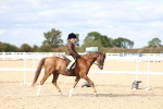 SBM_17509