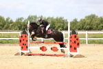 SBM_007590