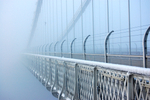 Frozen Clifron Suspenstion Bridge _B0157