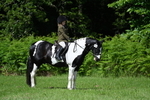 WJ7_1122