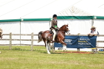 SBM_15754