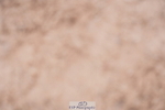 240505A-103634-04633