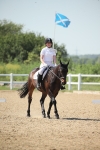 SBM_009991