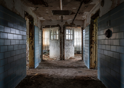 Forest Haven (Laurel, MD) | The Averted
