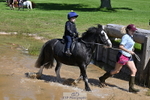 Gemma's Group XC portfolio