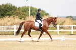 SBM_002706