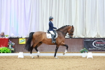 SBM_003749