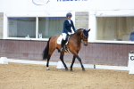 SBM_000646