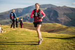 Sale Fell-567
