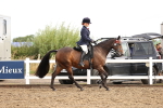 SBM_00253