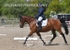 BPP_6099