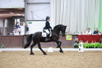 SBM_015536