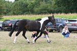 WJ6_5653