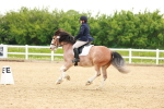 SBM_006461