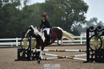 Clear Round & 60cm  1a - 1b portfolio