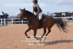 BPP_7449