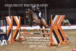 BPP_3873