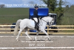 BPP_9055