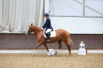 SBM_000943