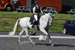 SIAL0785