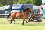 SBM_02272