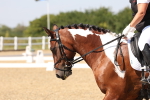 SBM_005616