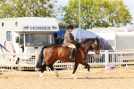 SBM_15475