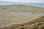 Black Combe-3