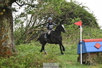 216-Kt.English-Baillie-CRISTAKELL.MR..DOUGAL portfolio