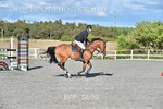 BPP_5699