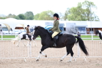 SBM_15807