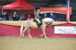 SBM_09621