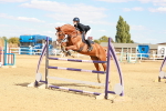 SBM_007320