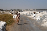 Senegal Lac Rose salt processing by lake side